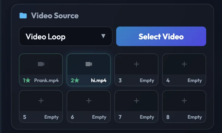OmeCam Video Source Media Slots